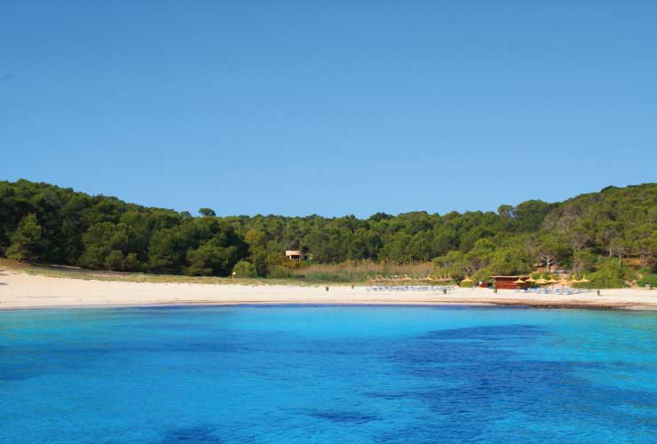 Playa S`Amarador Mallorca