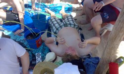 juni 2009 ballermann mallorca  46 