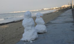 schnee am ballermann  50 