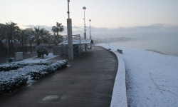 schnee am ballermann  55 