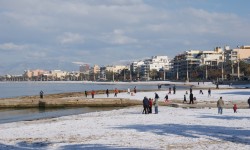 schnee am ballermann  65 