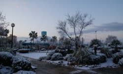 schnee am ballermann  81 