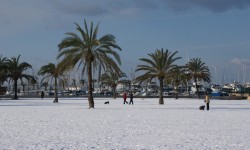 schnee am ballermann  83 