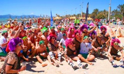 mai 2013 ballermann  40 