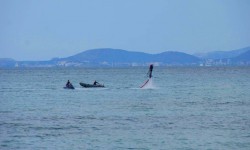 mai 2013 ballermann  65 