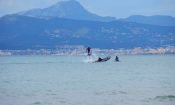 mai 2013 ballermann  73 