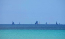 mai 2013 ballermann  84 