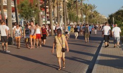 fussball wm 2014  59 