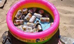 fussball wm 2014  104 