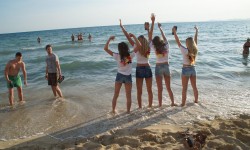 fussball wm 2014  82 