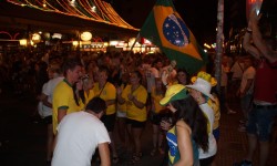 fussball wm 2014  83 