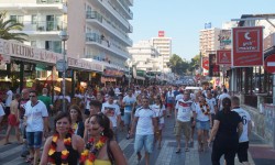 fussball wm 2014  84 