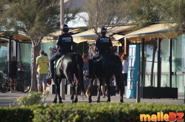 fussball wm 2014  91 