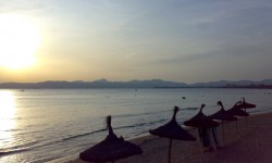 august 2009 ballermann mallorca  177 