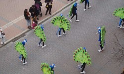 Karneval in Arenal  43 