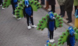 Karneval in Arenal  46 