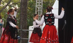 m  rz 2015 auf mallorca  41 