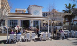 m  rz 2015 auf mallorca  52 