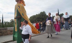 m  rz 2015 auf mallorca  55 