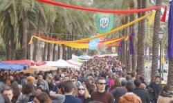 m  rz 2015 auf mallorca  70 