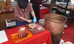 m  rz 2015 auf mallorca  75 