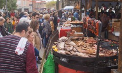 m  rz 2015 auf mallorca  81 