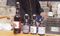 m  rz 2015 auf mallorca  85 