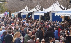 m  rz 2015 auf mallorca  89 