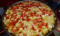 m  rz 2015 auf mallorca  91 