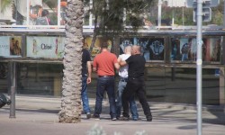 september auf mallorca  32 