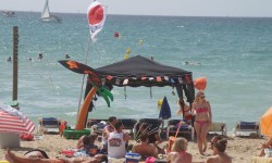 september auf mallorca  42 