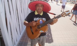 september auf mallorca  43 