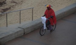 september auf mallorca  54 