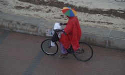 september auf mallorca  59 