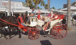 september auf mallorca  63 