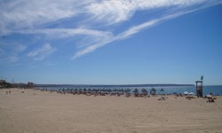 september auf mallorca  69 