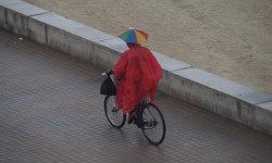 september auf mallorca  73 