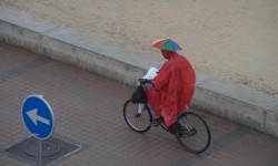 september auf mallorca  82 