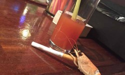 ballermann urlauber  50 