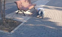 urlauber am ballermann  11 