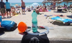 juni 2016 ballermann  32 