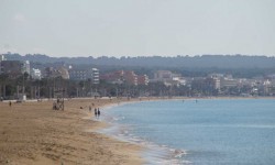 november 2016 ballermann  33 