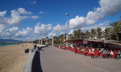 november 2016 ballermann  37 