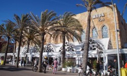 mai 2017 mallorca  36 