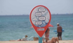 juni 2017 ballermann  44 