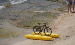 juni 2017 ballermann  54 