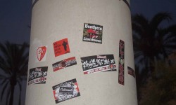 juni 2017 ballermann  61 