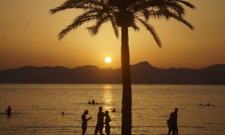 juni 2017 ballermann  67 