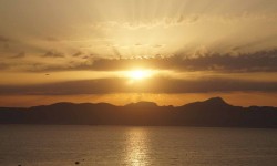 juni 2017 ballermann  78 