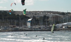 februar 2010 am ballermann  37 